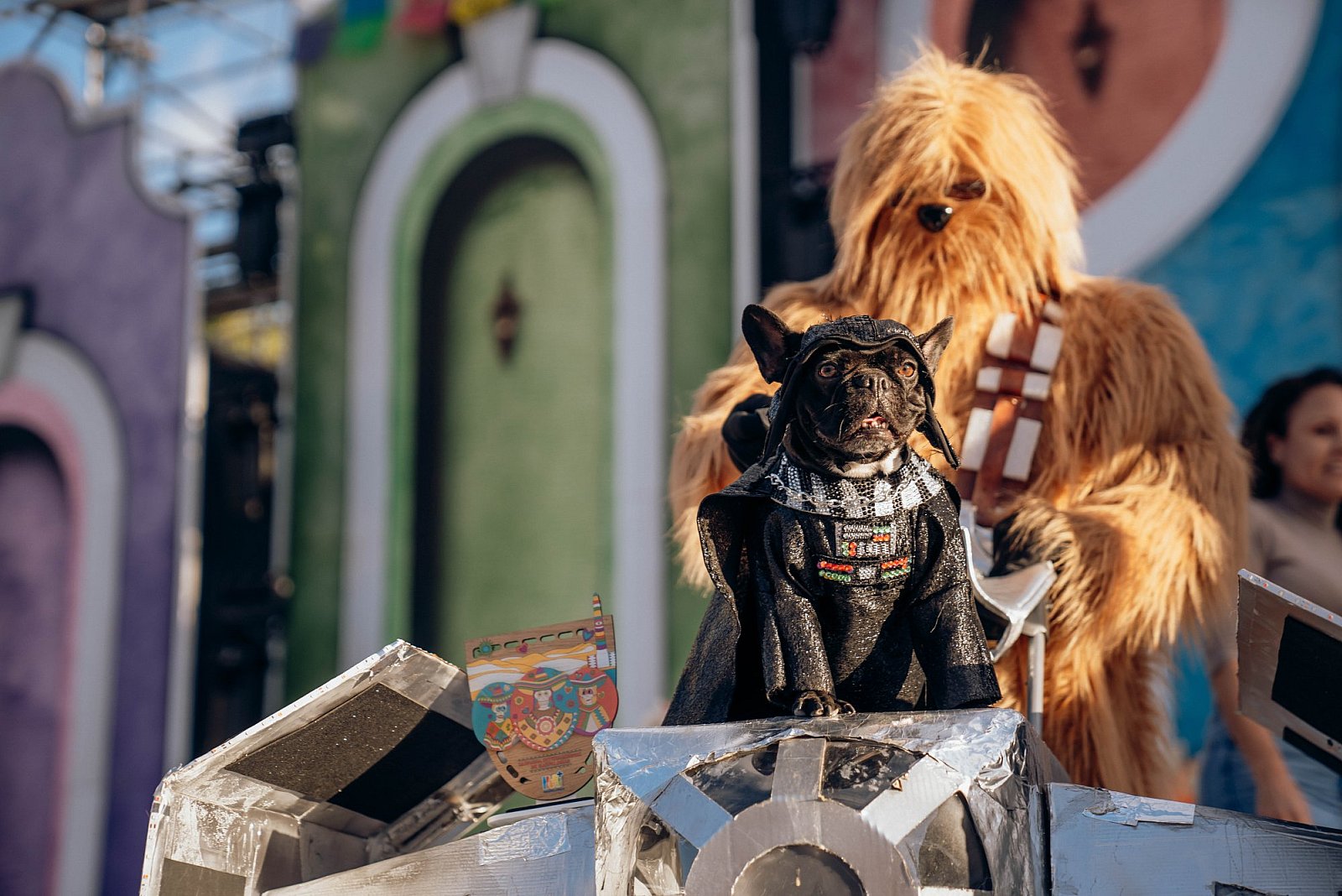 La perrita “Niña” vuelve a ganar el Carnaval Canino de Maspalomas ¡y se “jubila” con 9 años!