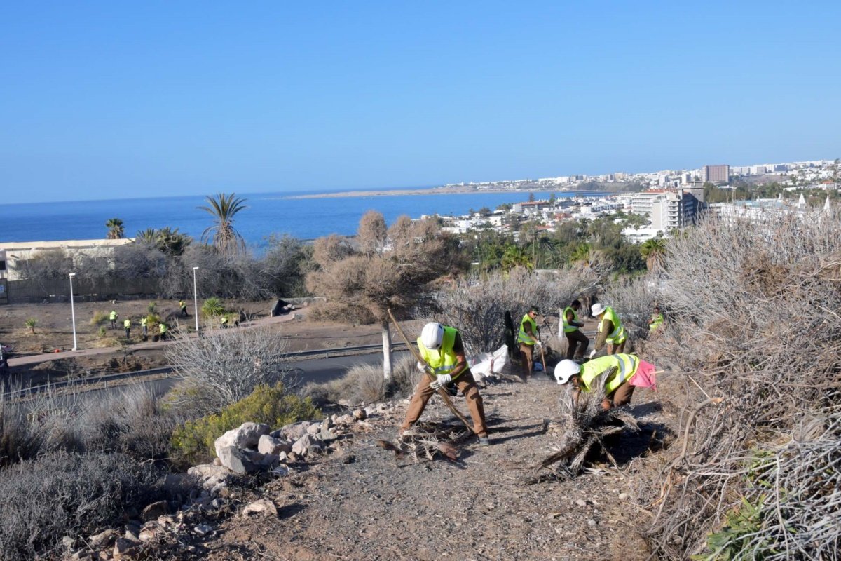 El Ayuntamiento y Foresta trabajan en la restauración ambiental de Morro Besudo