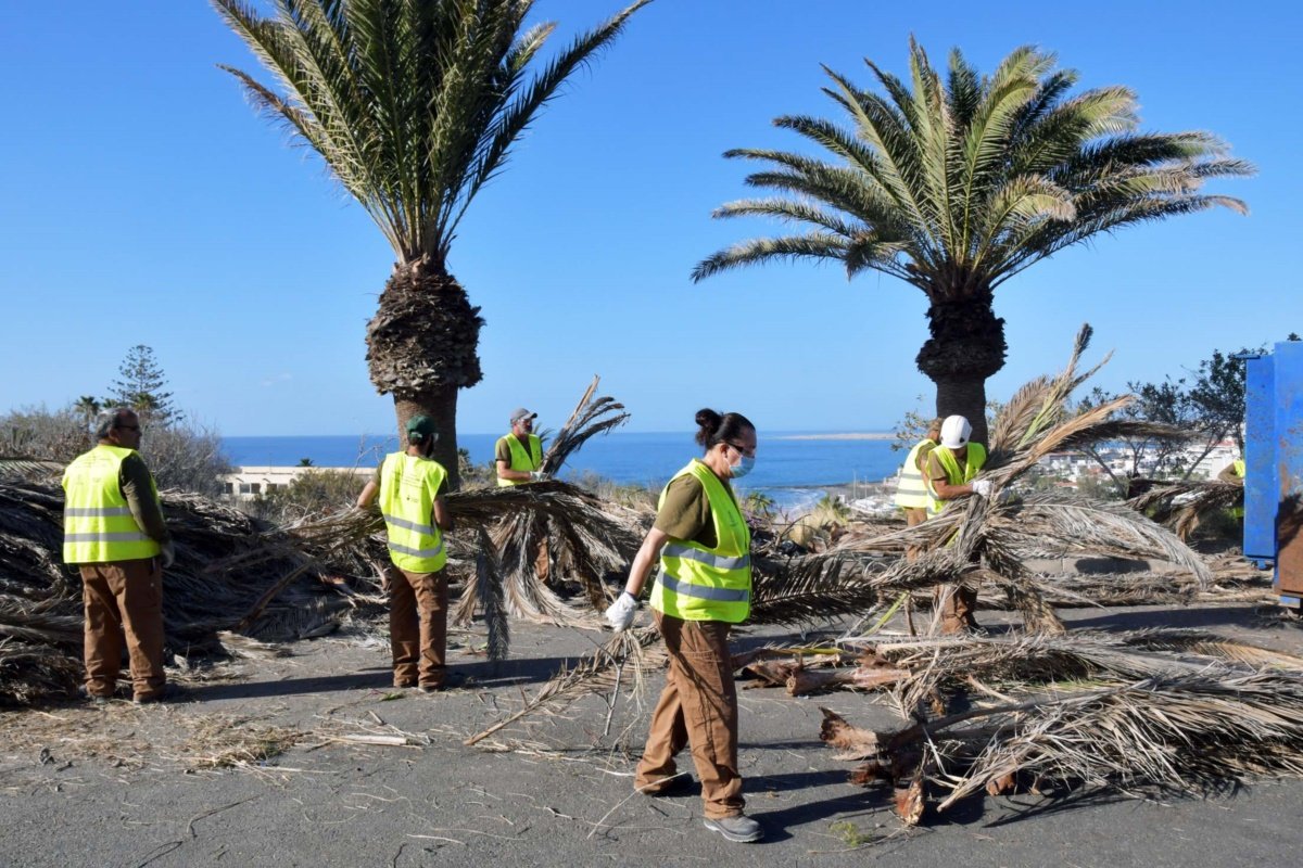 El Ayuntamiento y Foresta trabajan en la restauración ambiental de Morro Besudo