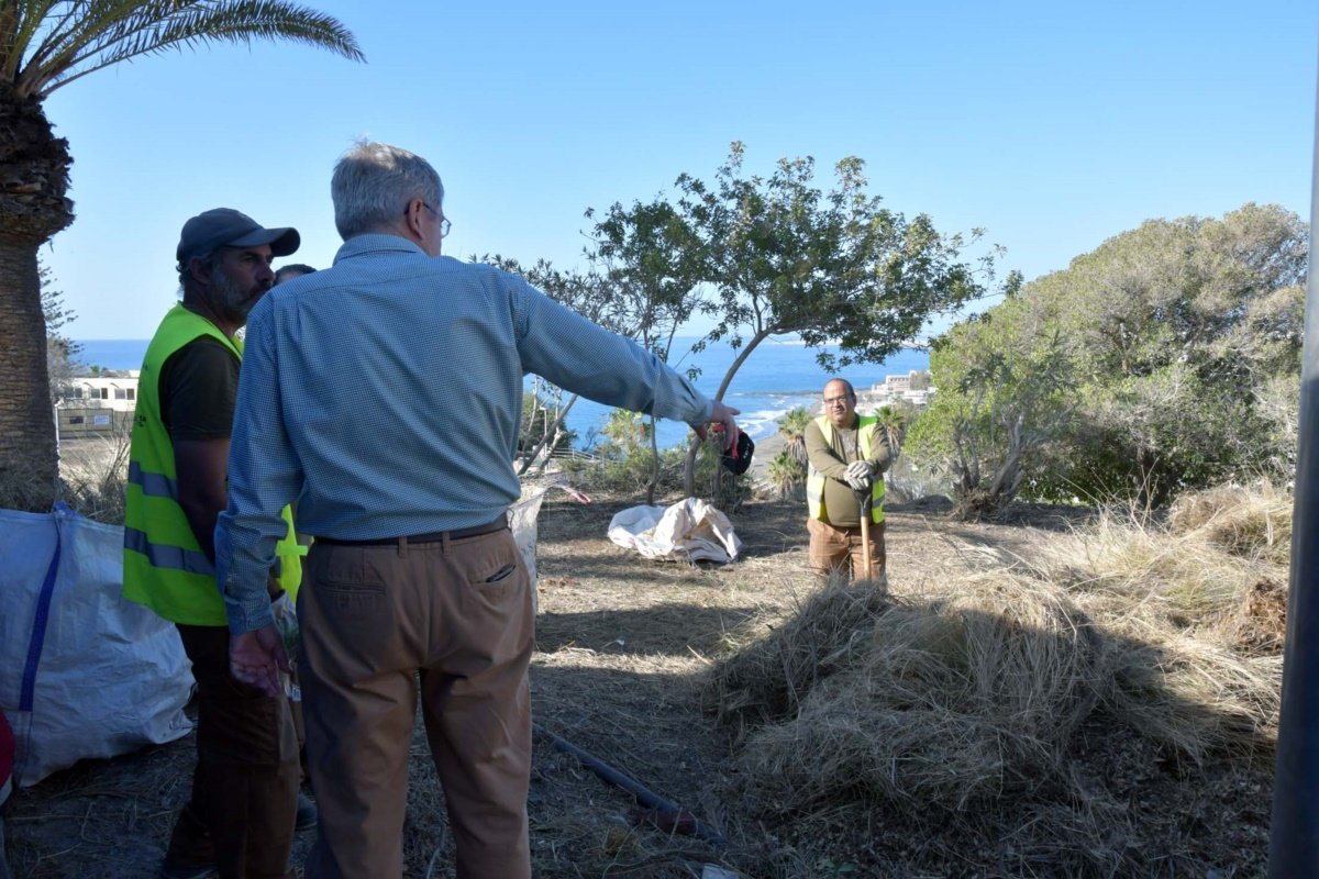 El Ayuntamiento y Foresta trabajan en la restauración ambiental de Morro Besudo