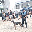 Maspalomas celebra la Jornada de Puertas Abiertas de su Policía Local
