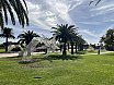 El Parque Urbano del Sur se ilumina  con el espíritu familiar de la Navidad