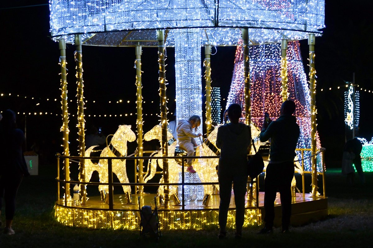 Alumbrado Navideño Parque Sur
