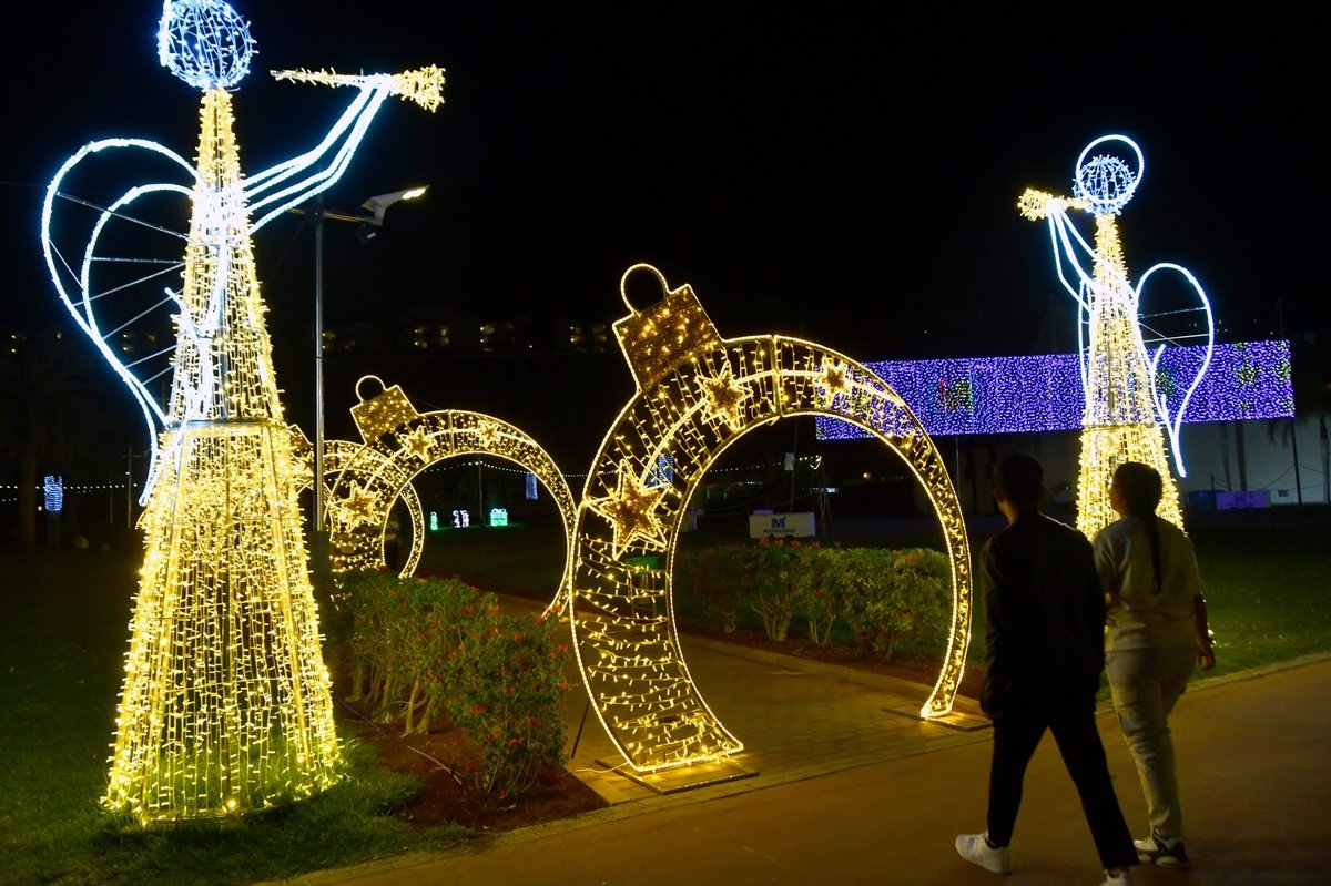 Alumbrado Navideño Parque Sur
