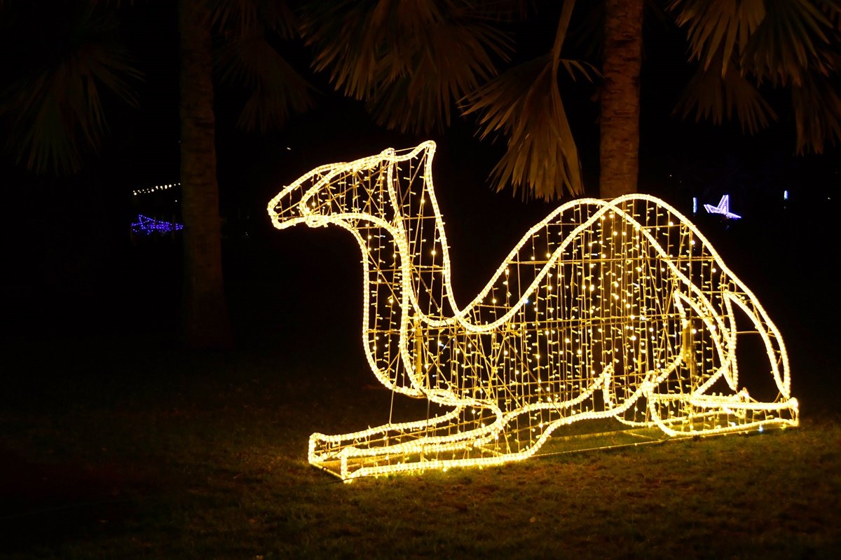 Alumbrado Navideño Parque Sur