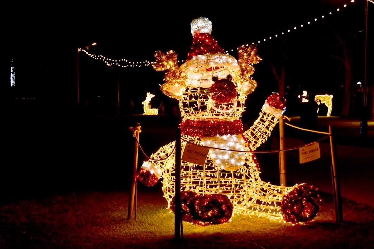 Alumbrado Navideño Parque Sur