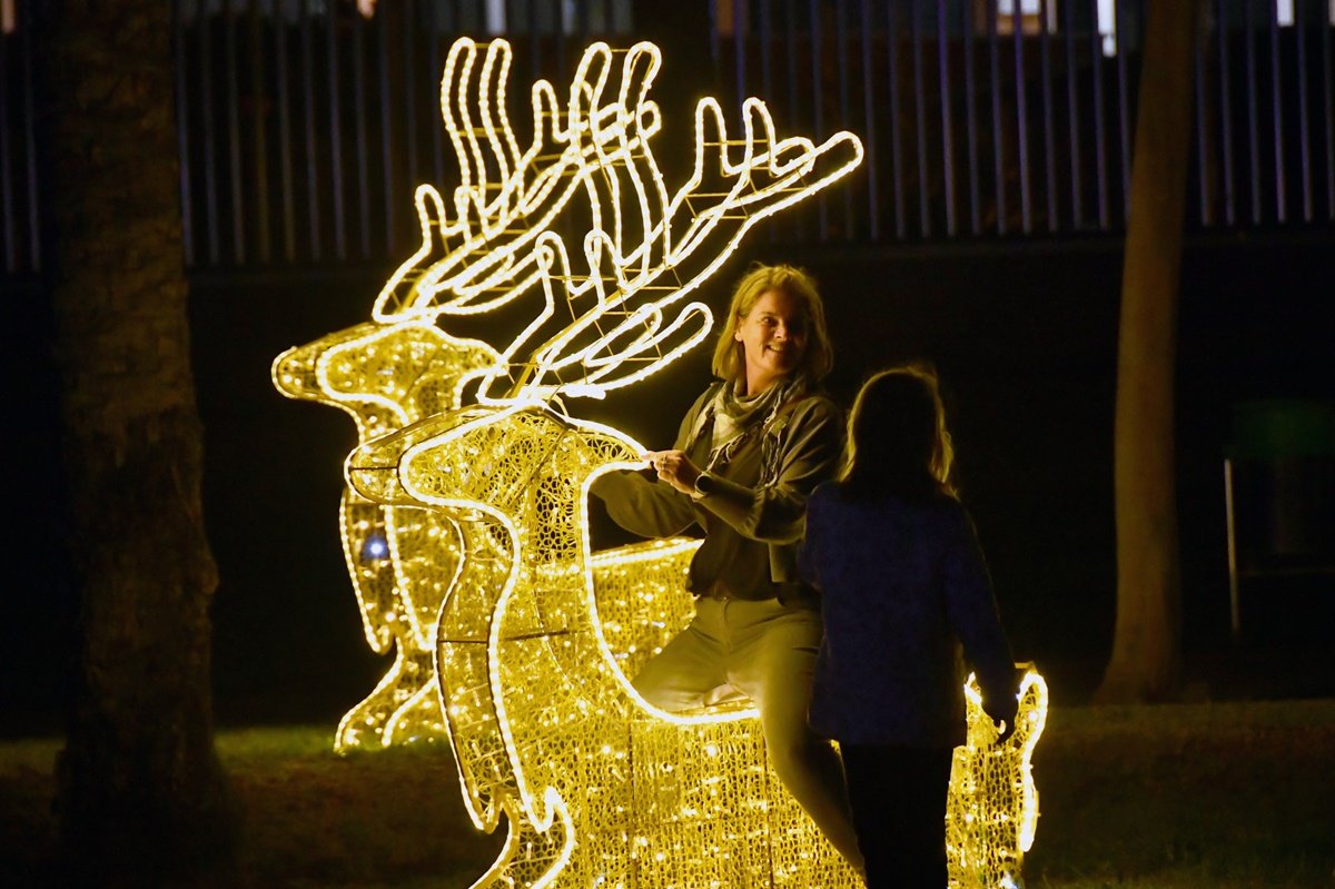 Alumbrado Navideño Parque Sur