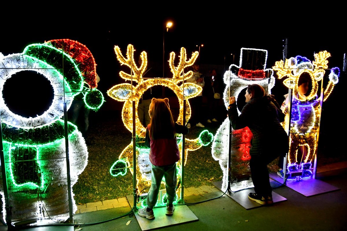 Alumbrado Navideño Parque Sur