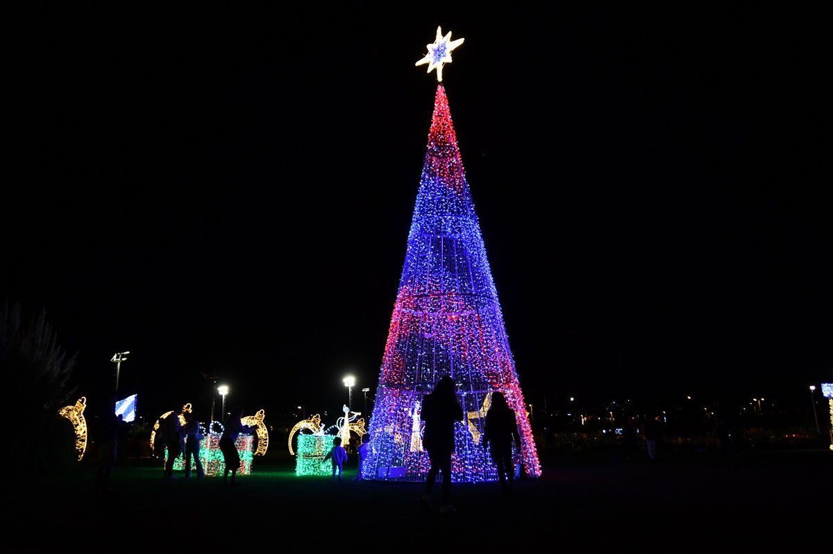 Alumbrado Navideño Parque Sur
