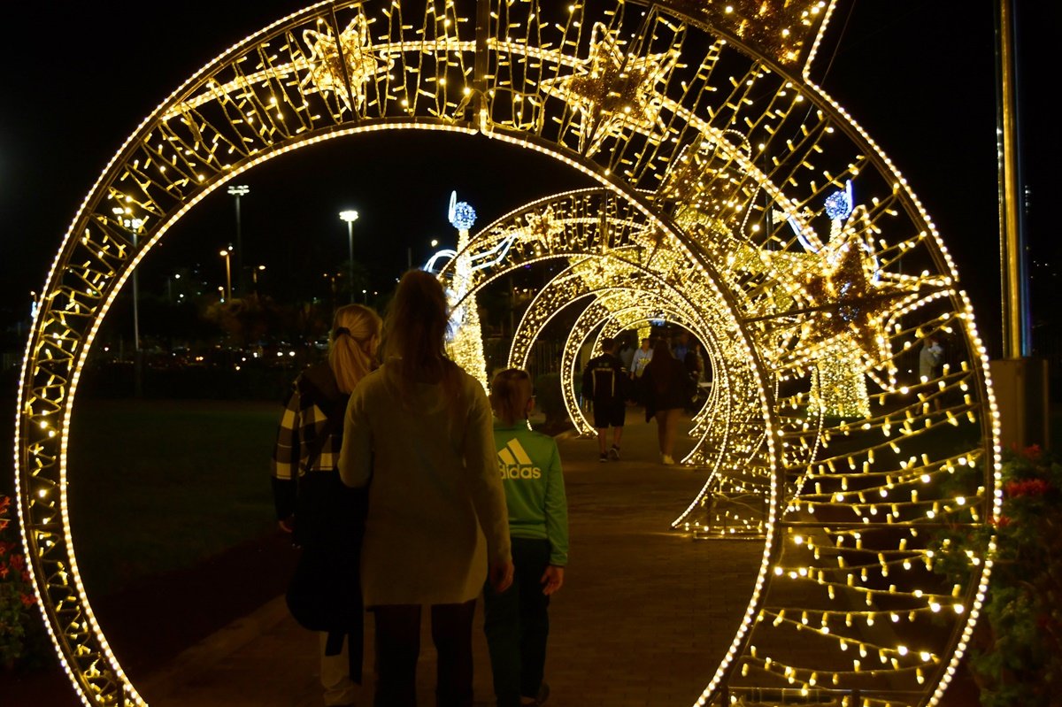 Alumbrado Navideño Parque Sur