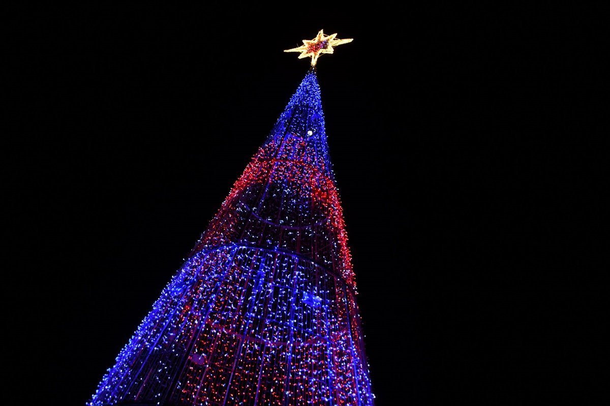Alumbrado Navideño Parque Sur