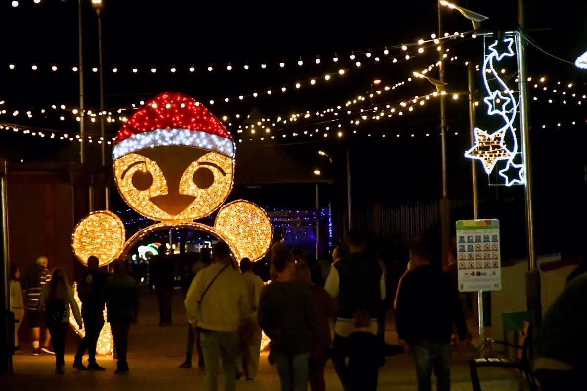 Alumbrado Navideño Parque Sur