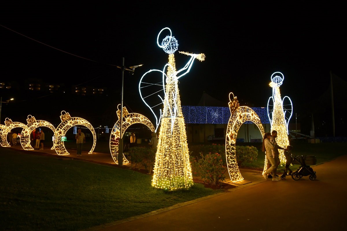 Alumbrado Navideño Parque Sur