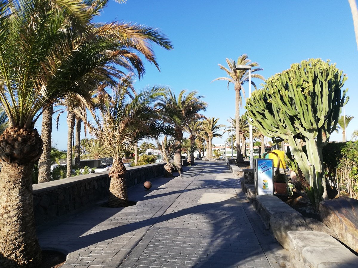  Maspalomas durante el Confinamiento