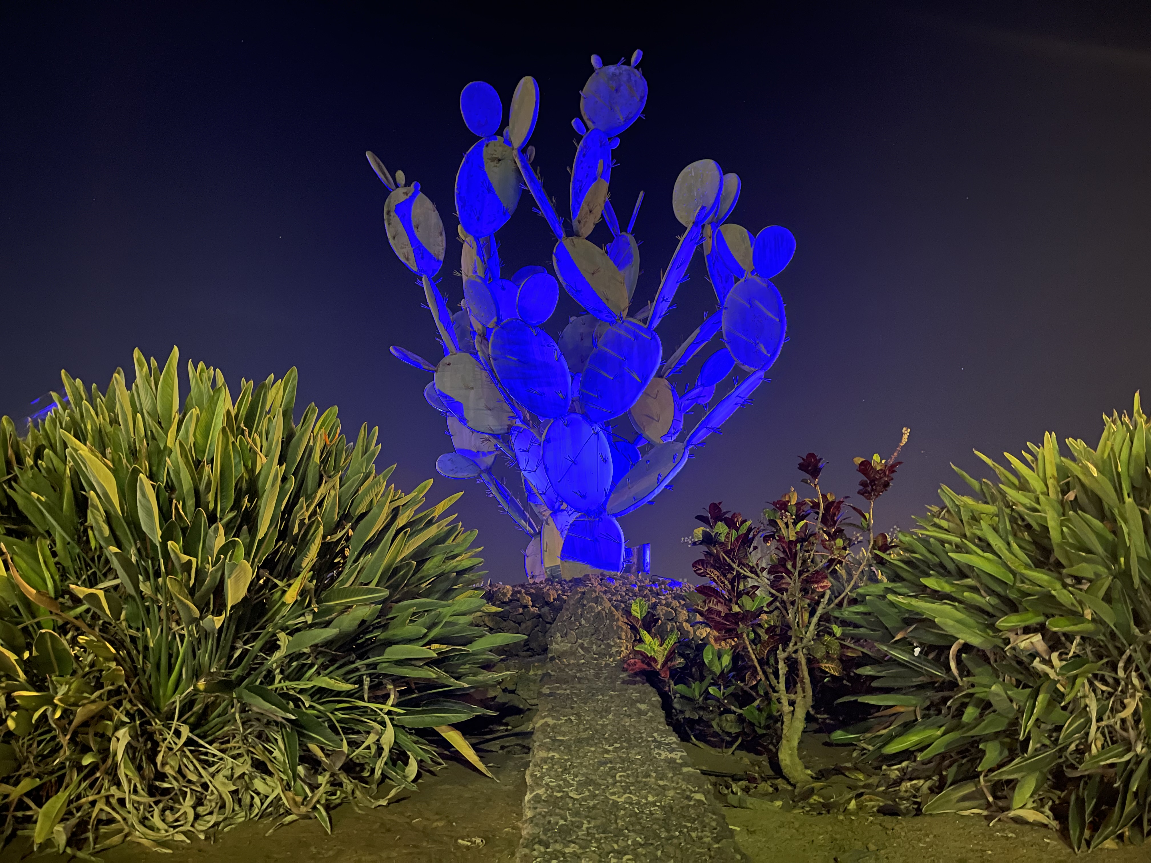 20250926_Luces_que_inspiran_03