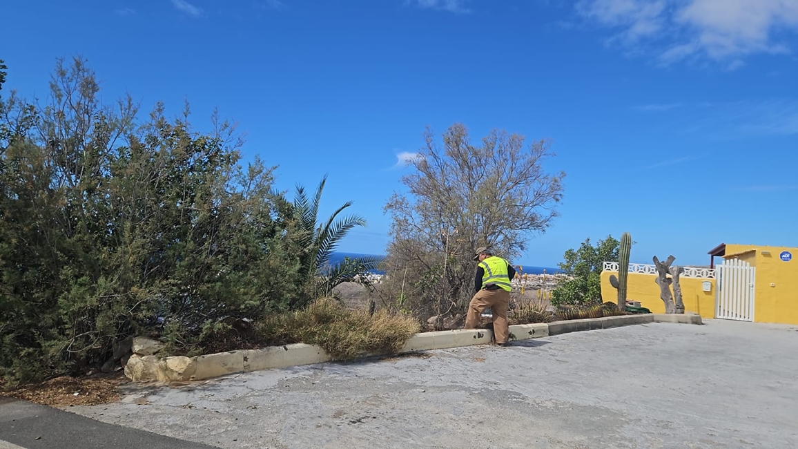 20260306 LV Limpieza en uno de los barrios