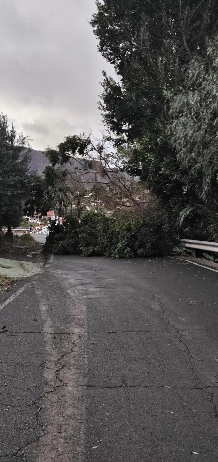 20260320_Huesa_Bermeja_04