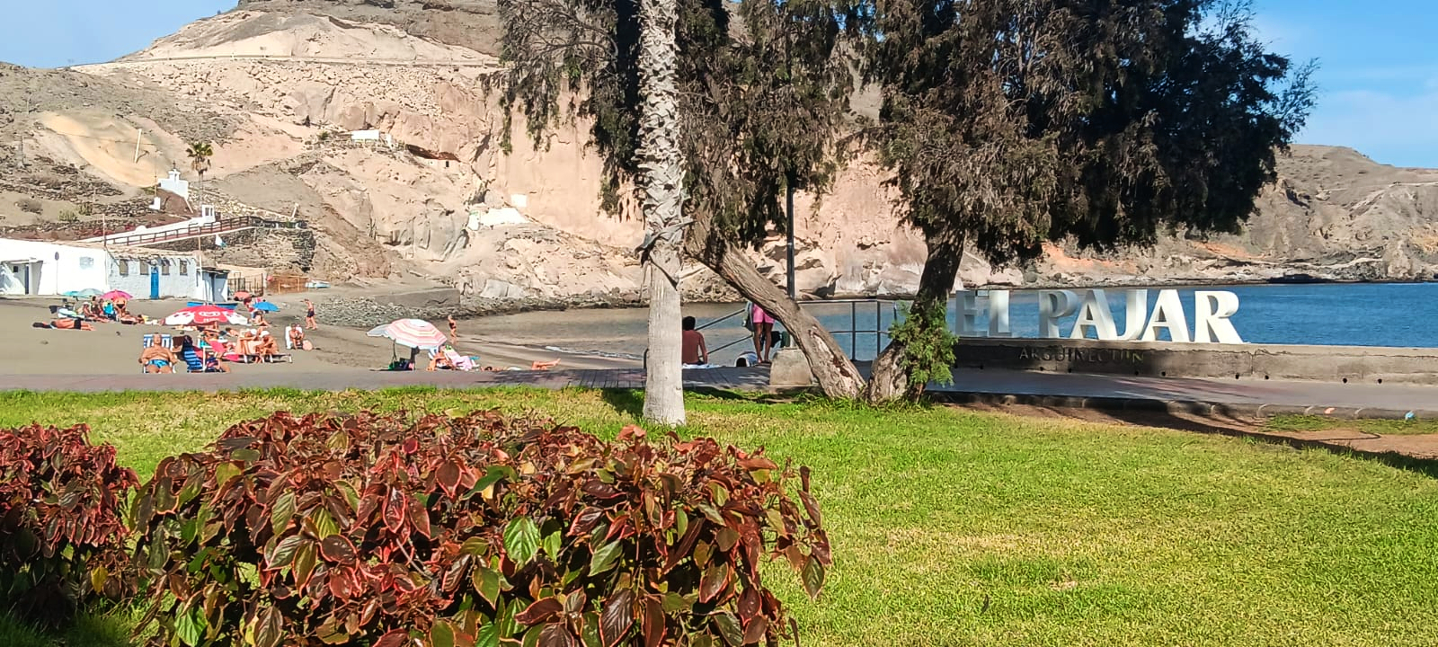 20260113_Paseo El Pajar 1