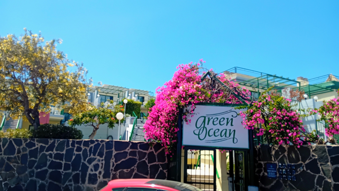 20260601_renovacion_green_ocean.jpg