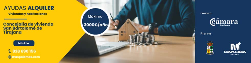 20241111 AyudasAlquilerVivienda 2